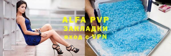 дживик Ельня