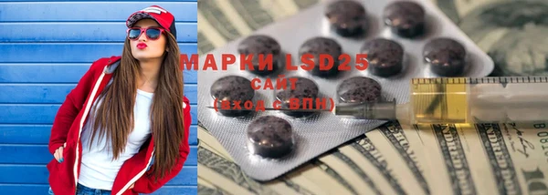 дживик Ельня