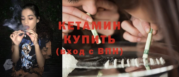 дживик Ельня