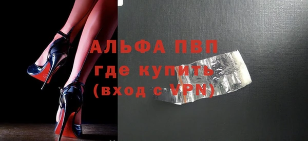 дживик Ельня