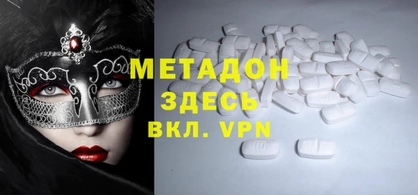 дживик Ельня