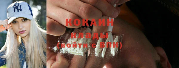 дживик Ельня