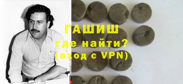 дживик Ельня