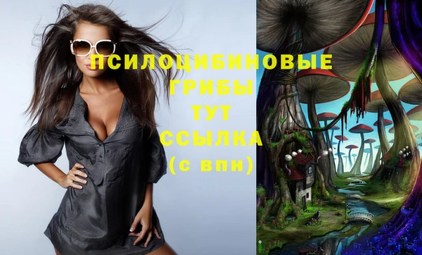 дживик Ельня