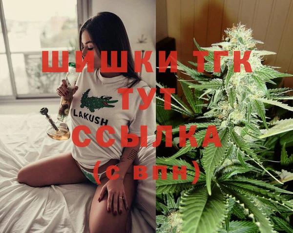 дживик Ельня
