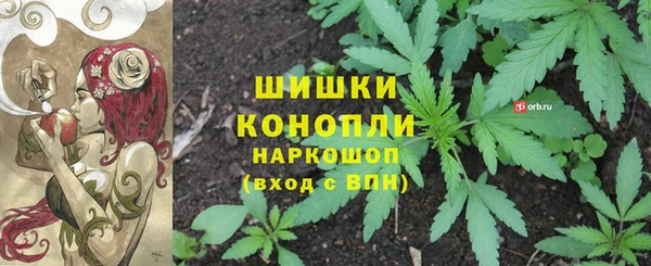 бошки Елизово