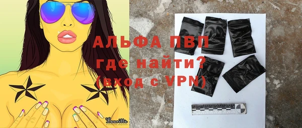 дживик Ельня