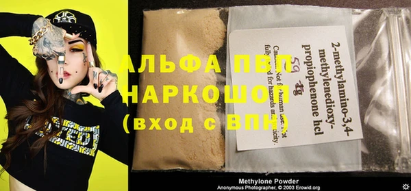 дживик Ельня