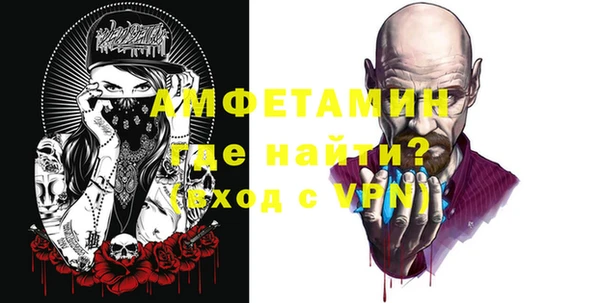 дживик Ельня