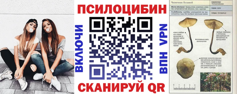 Купить где  Болгар  Псилоцибиновые грибы MAGIC MUSHROOMS 