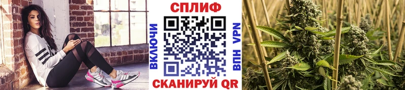 Марихуана сатива  Купить закладки  Болгар 